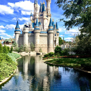 Disney Lovers Collection