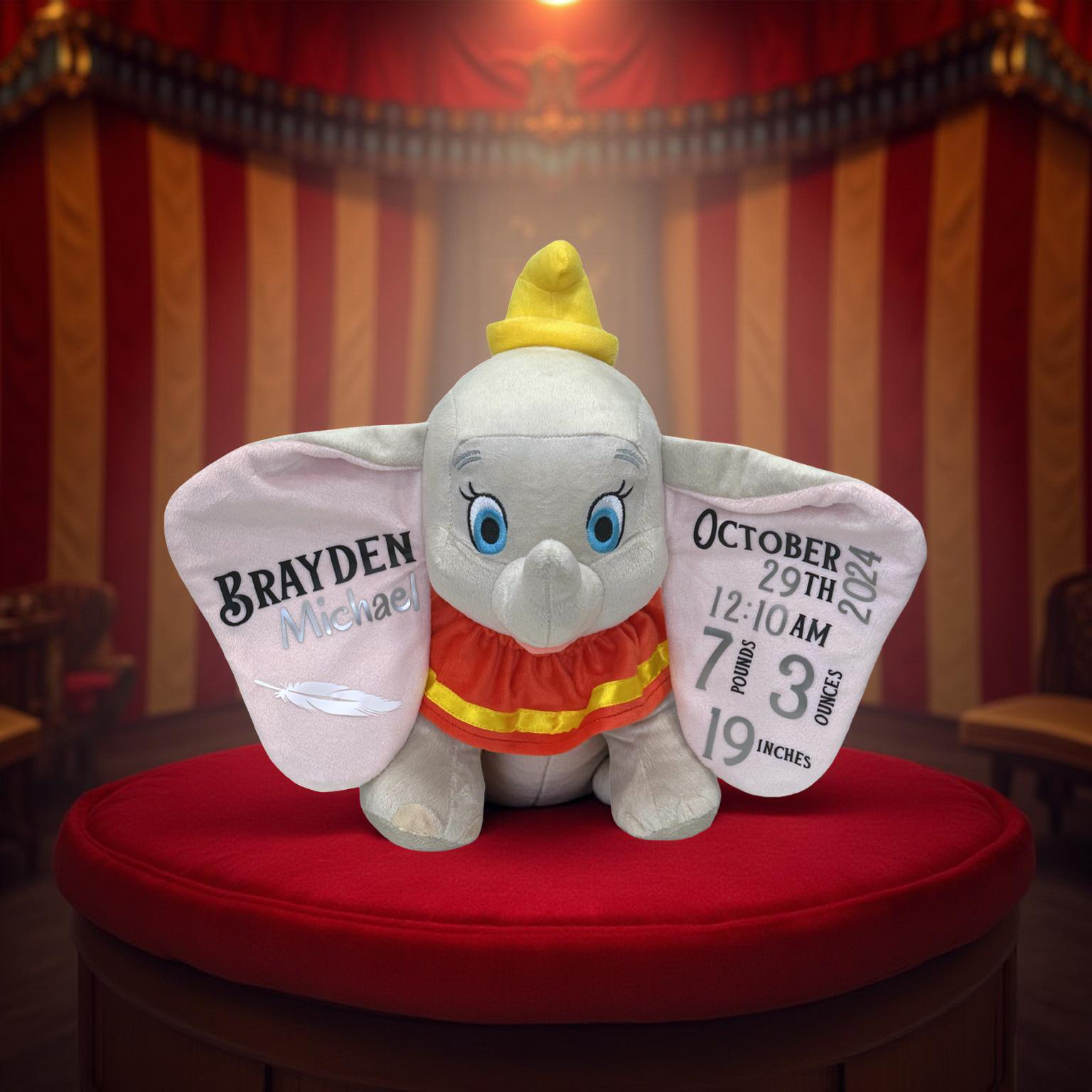 Dumbo Themed Baby Announcement Stats