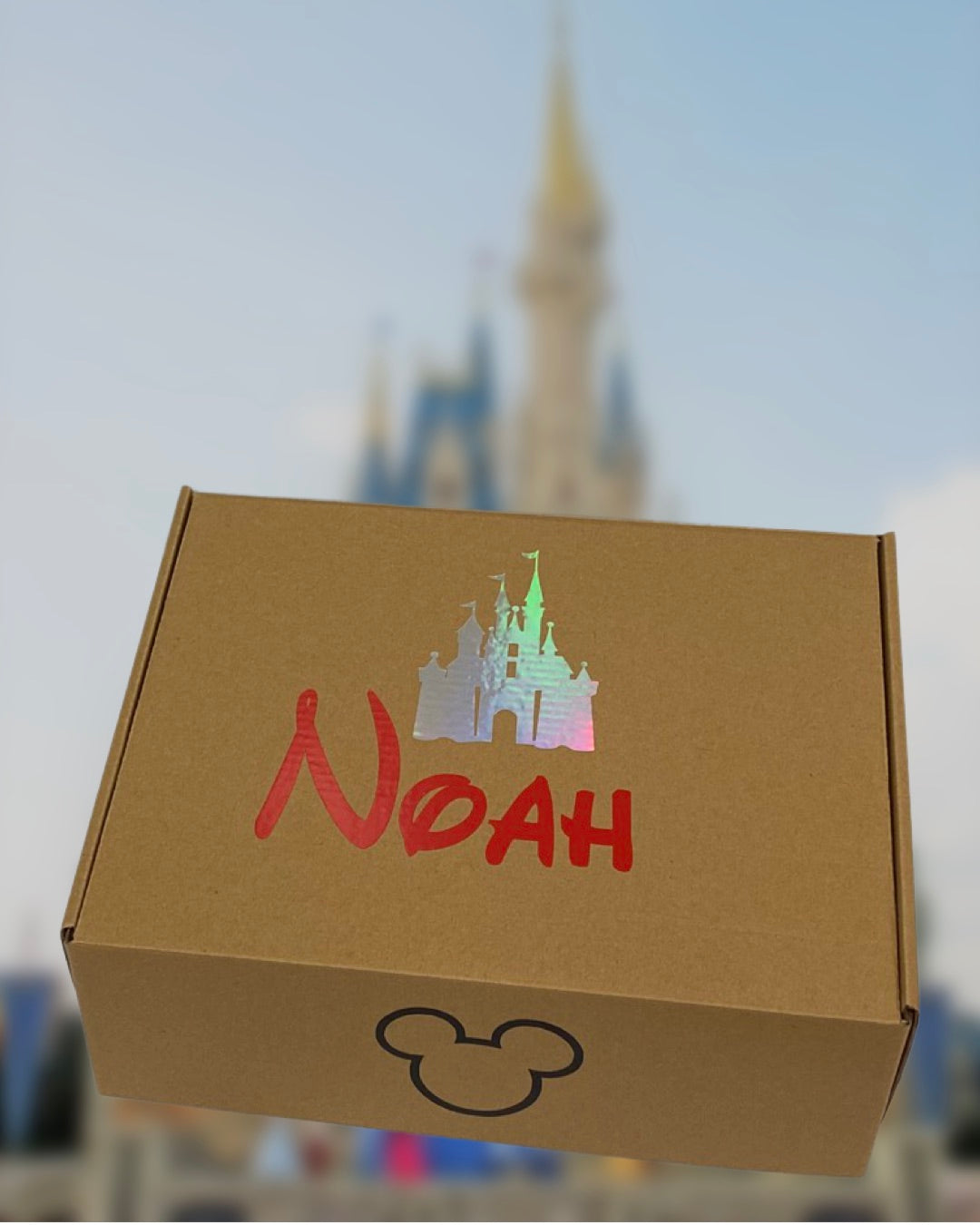 Mickey Inspired Themed Surprise Trip Announcement Gift Box