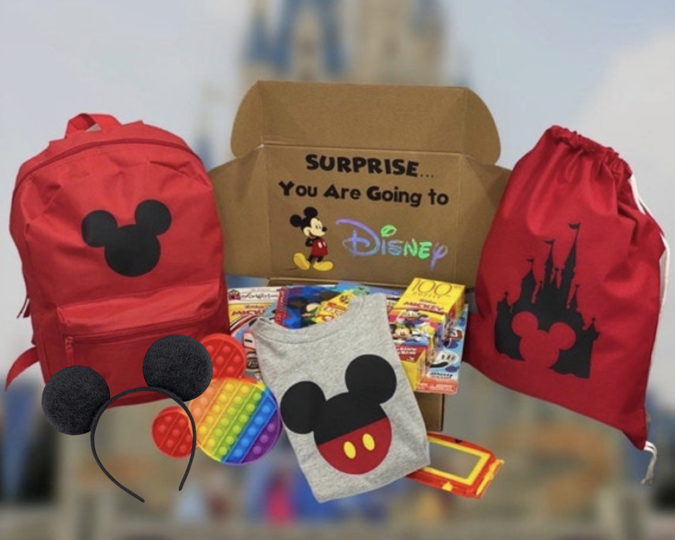 Mickey Inspired Themed Surprise Trip Announcement Gift Box