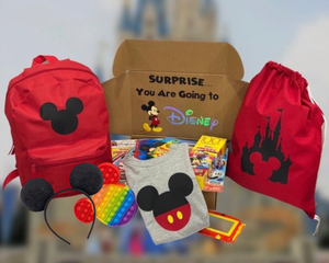 Mickey Inspired Themed Surprise Trip Announcement Gift Box